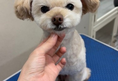 IMG20240816181814