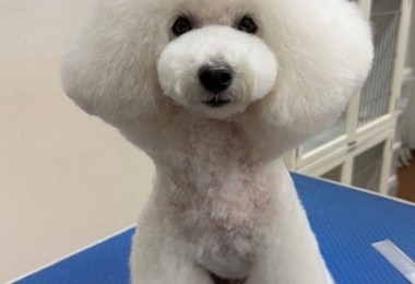 thumbnail_image2