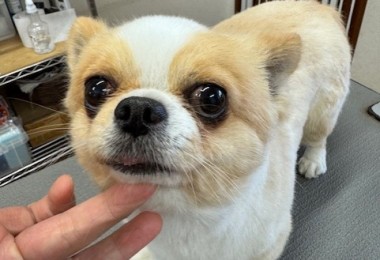 thumbnail_image2