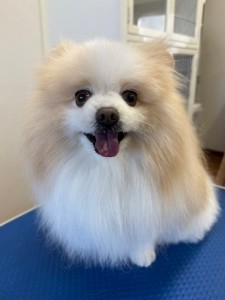 IMG20240608181916