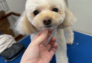 IMG20240816181814