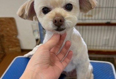 IMG20240608171310