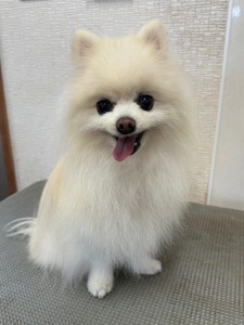 IMG20240608171310