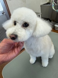 IMG20240608181916