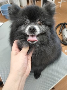 IMG20240608143848