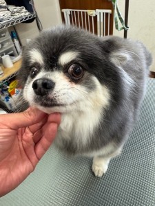 IMG20240608143848