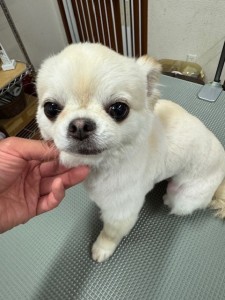 IMG20240608143848