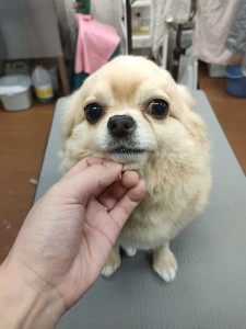 IMG20240608143848