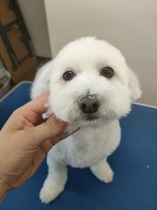 IMG20240608143848
