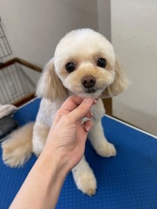 IMG20240608171310