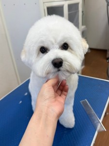 IMG20240608171310