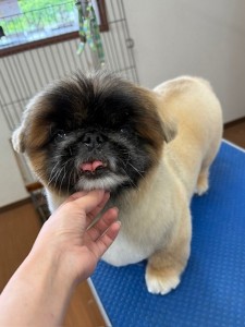 IMG20240608171310