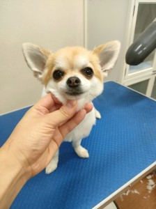 IMG20240608171310