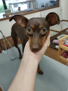 IMG20240608171310