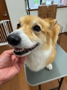 IMG20240608181916
