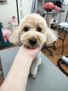 IMG20240608181916