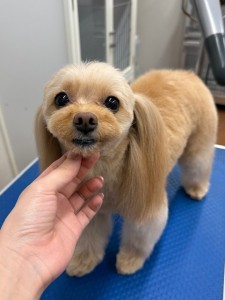 IMG20240608181916