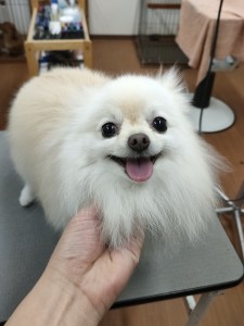 IMG20240608181916