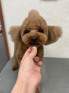IMG20240608181916