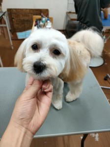 IMG20240608181916