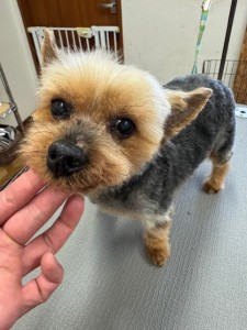 IMG20240608181916