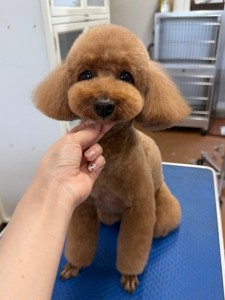 thumbnail_image0