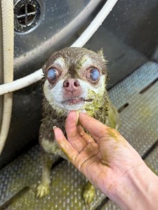 thumbnail_image0