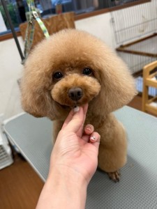 thumbnail_image2