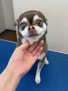thumbnail_image2