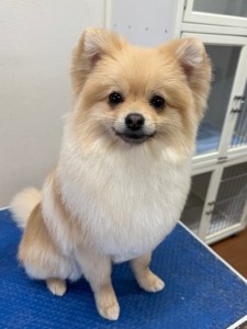 thumbnail_image4