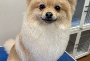 thumbnail_image4