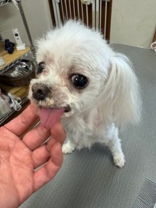 thumbnail_image5 (1)
