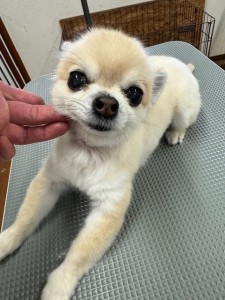 IMG20240608143848