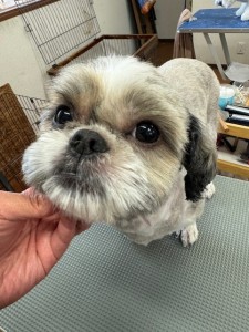 IMG20240608143848