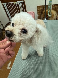 IMG20240608143848