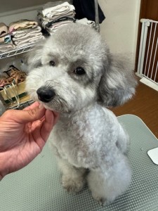 IMG20240608143848