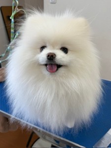 IMG20240608143848