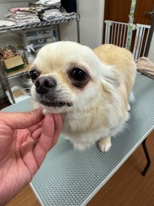 IMG20240608143848