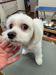 IMG20240608171310