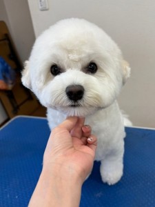 IMG20240608171310