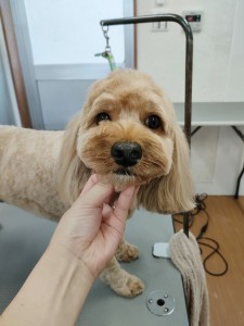 IMG20240608171310