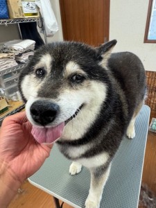 IMG20240608171310