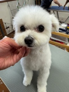 IMG20240608171310
