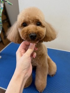 IMG20240608171310