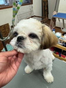 IMG20240608171310