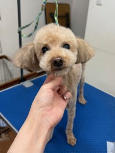 IMG20240608181916