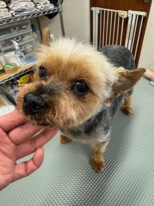 IMG20240608181916