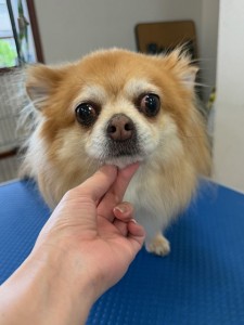 IMG20240608181916