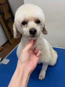 IMG20240608181916