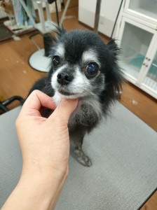 IMG20240608181916